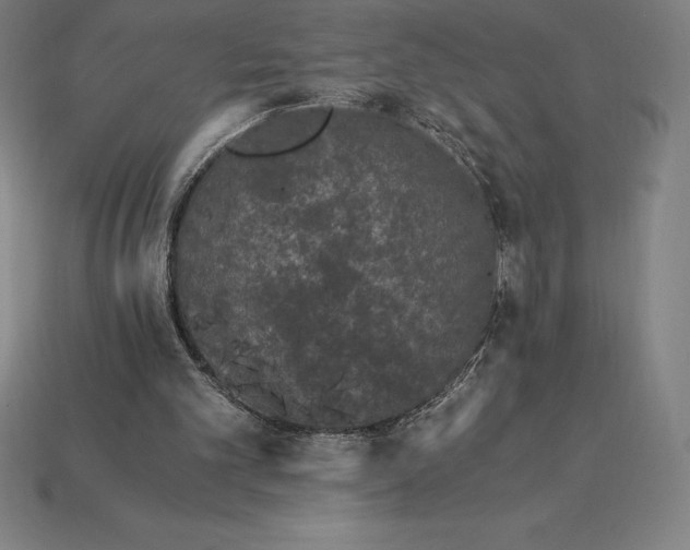 X0000115280101200911131837