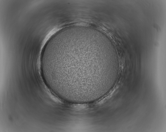 X0000115280102200911131837