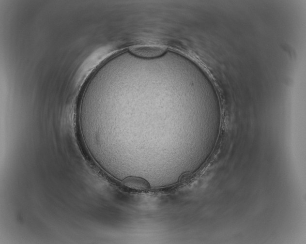 X0000115280103200911131837