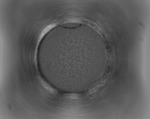 X0000115280104200911131837