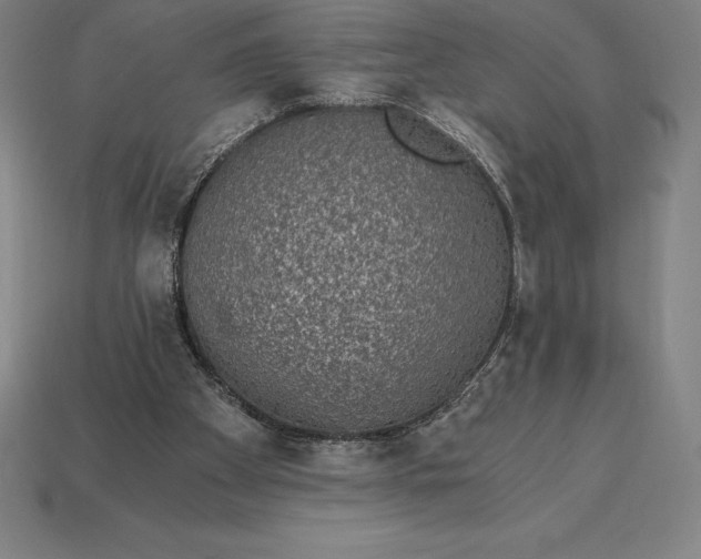 X0000115280105200911131837