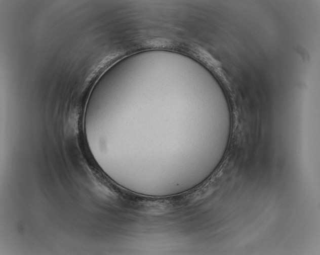 X0000115280106200911131837