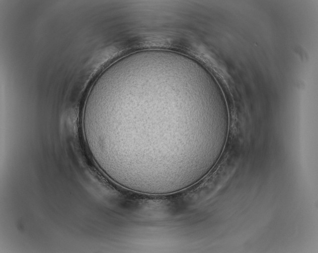 X0000115280107200911131837