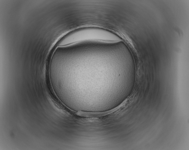 X0000115280108200911131837