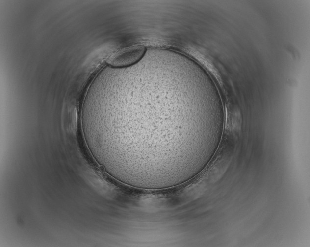 X0000115280109200911131837