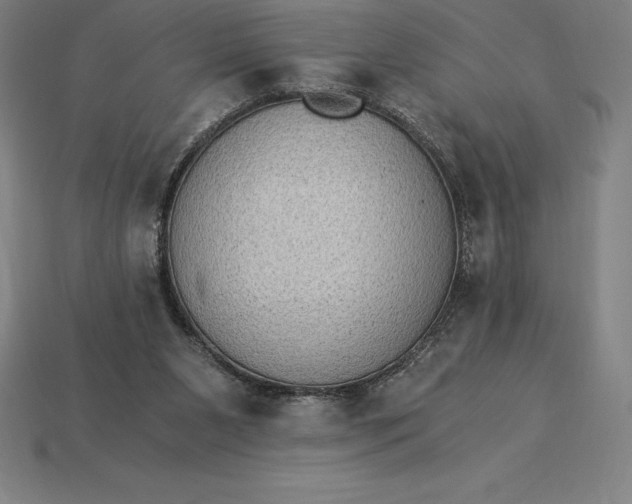 X0000115280111200911131837