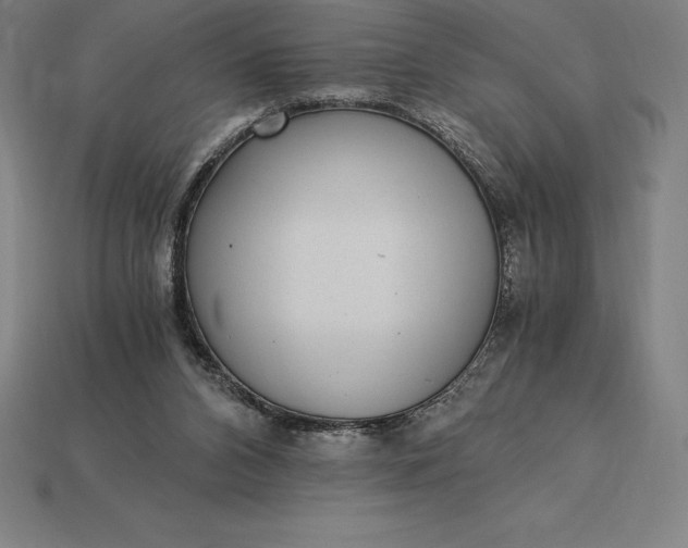 X0000115280112200911131837