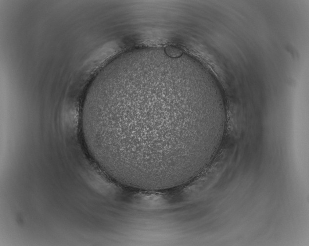 X0000115280113200911131837