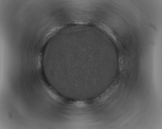 X0000115280114200911131837