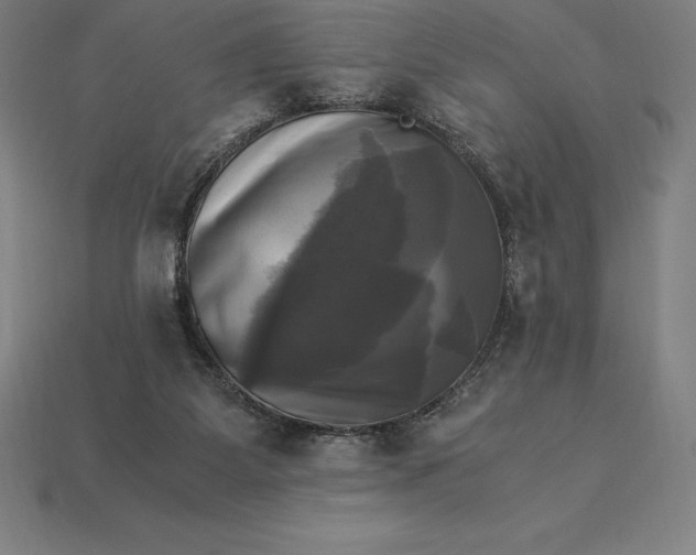 X0000115280115200911131837