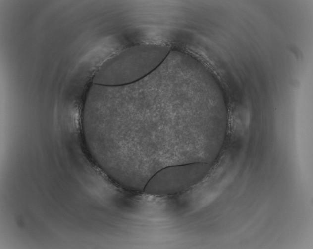 X0000115280117200911131837