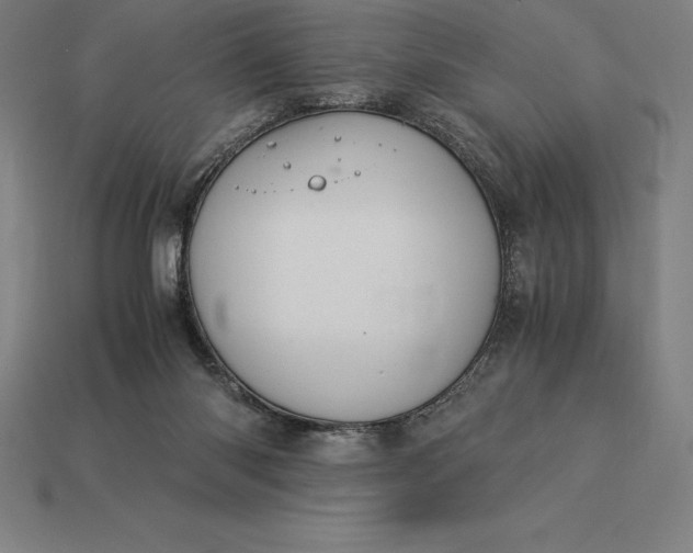 X0000115280118200911131837