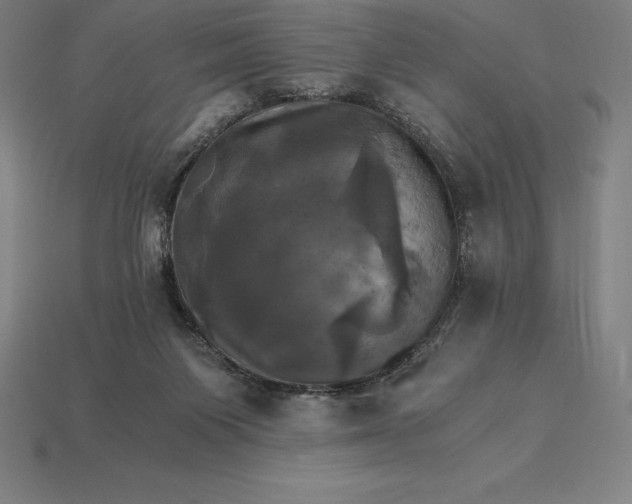 X0000115280119200911131837