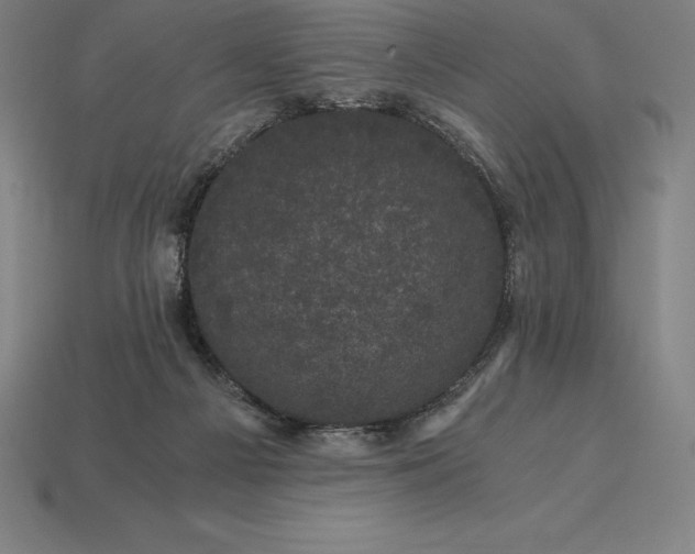 X0000115280121200911131837