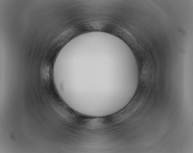 X0000115280122200911131837