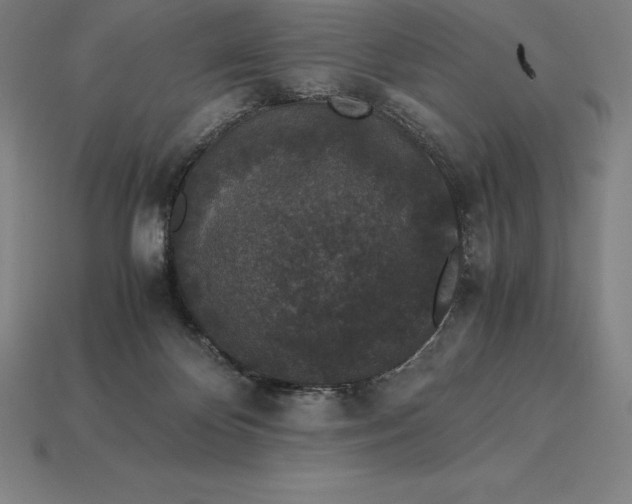 X0000115280124200911131837