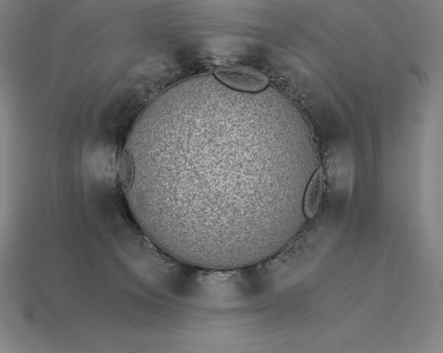 X0000115280129200911131837