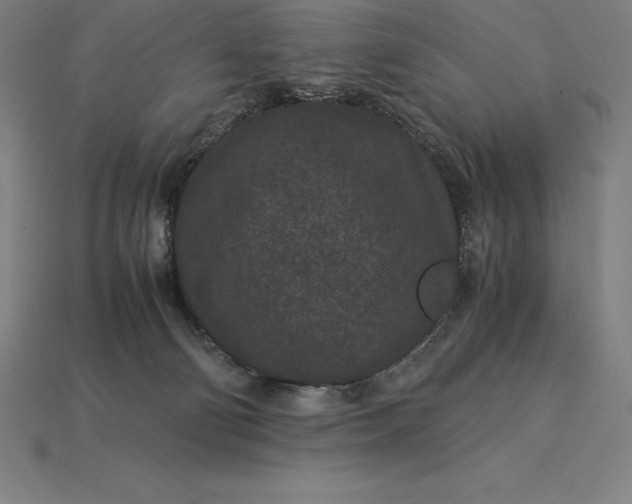 X0000115280130200911131837