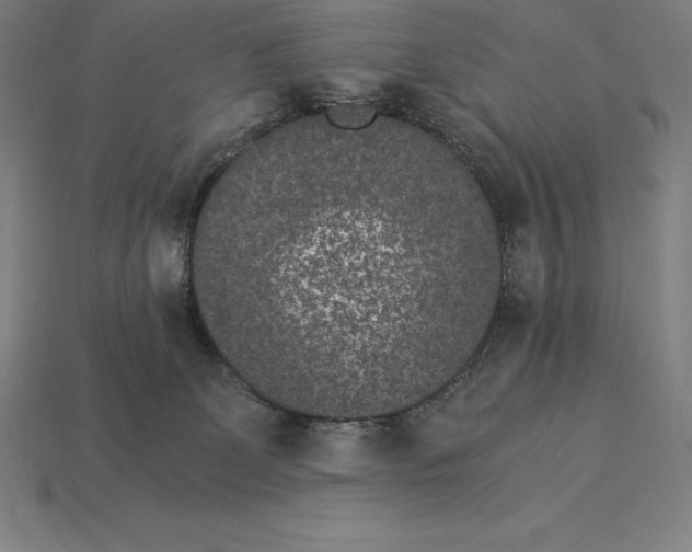 X0000115280131200911131837