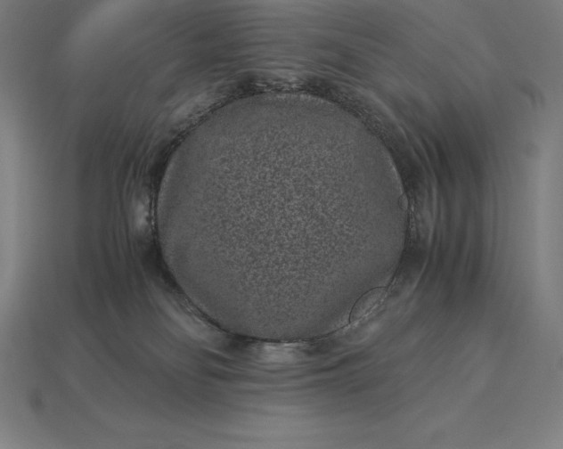 X0000115280134200911131837