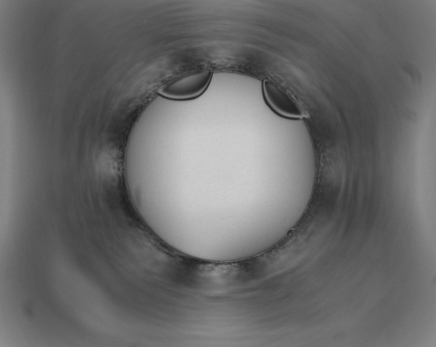 X0000115280135200911131836