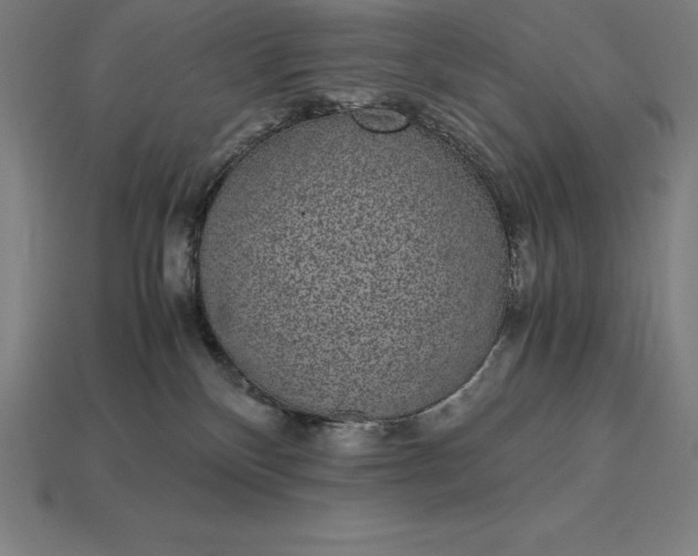 X0000115280136200911131836