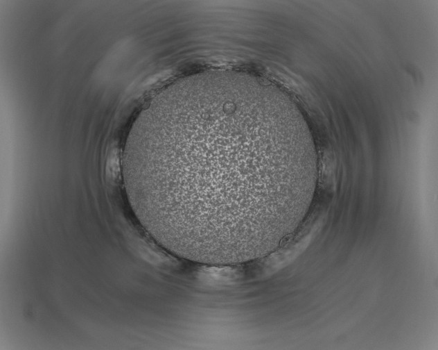 X0000115280137200911131836