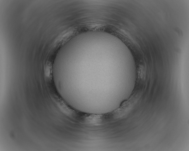 X0000115280138200911131836