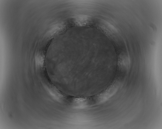 X0000115280139200911131836