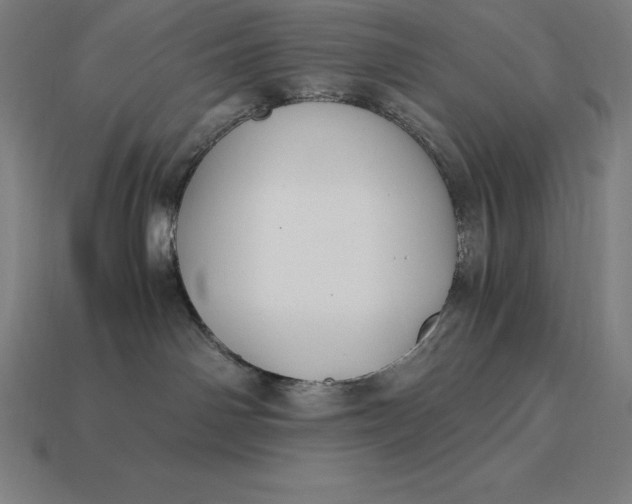 X0000115280142200911131836