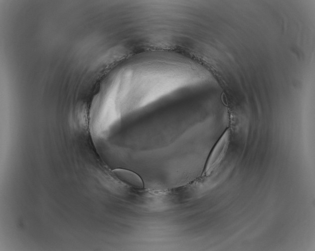 X0000115280143200911131836