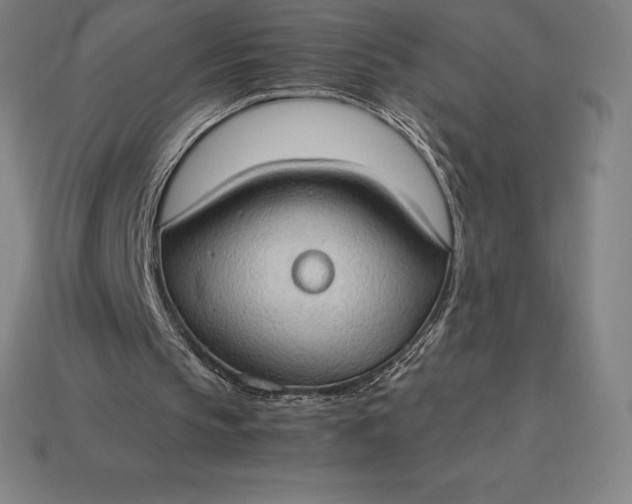 X0000115280145200911131836