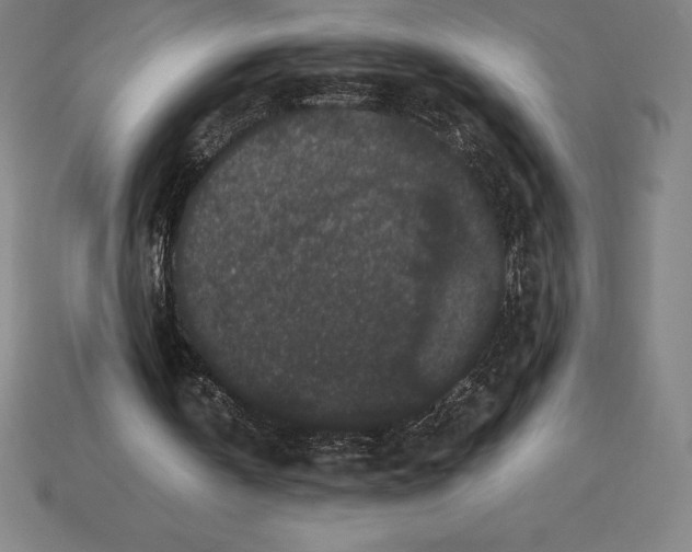 X0000115280146200911131836