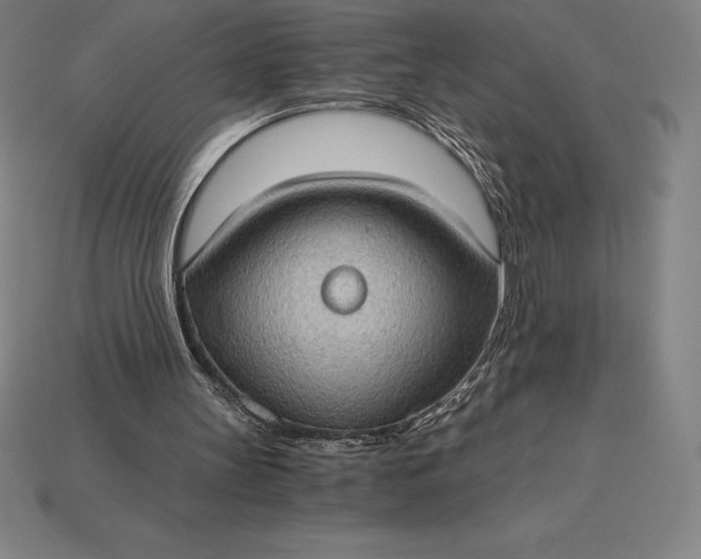 X0000115280147200911131836