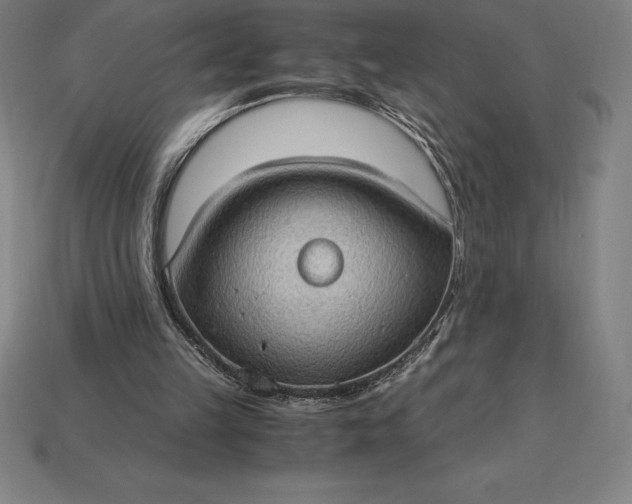 X0000115280149200911131836