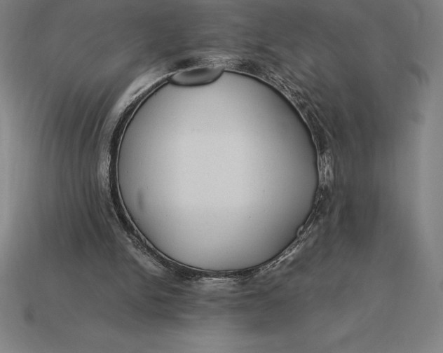 X0000115280150200911131836