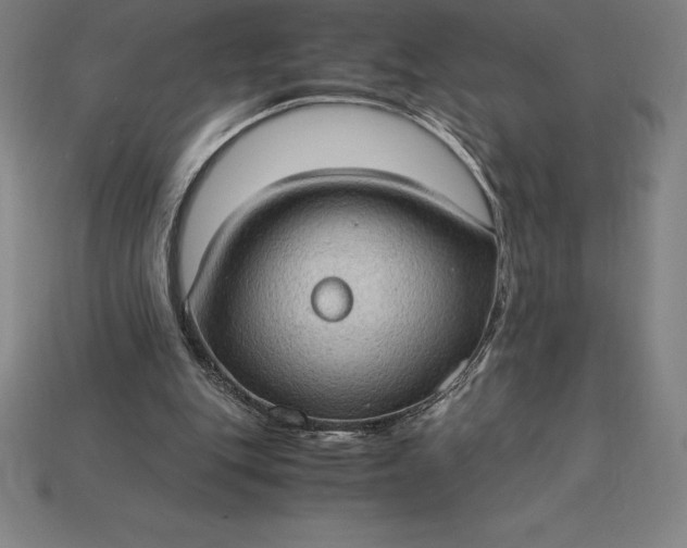 X0000115280151200911131836