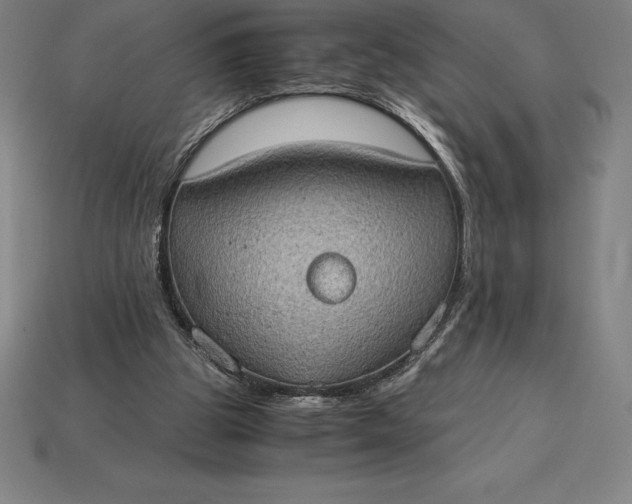 X0000115280153200911131836