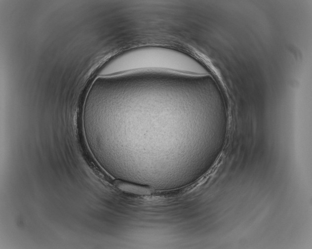 X0000115280154200911131836