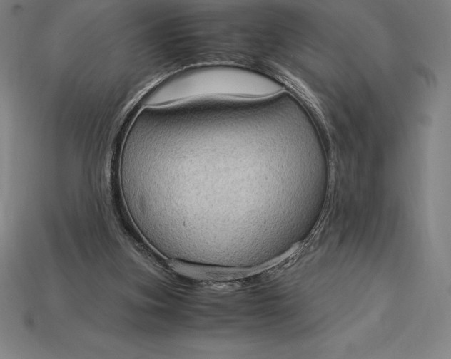 X0000115280155200911131836