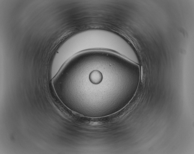 X0000115280157200911131836