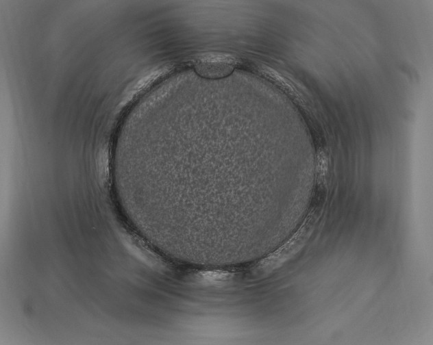 X0000115280158200911131836