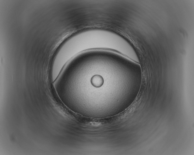 X0000115280159200911131836