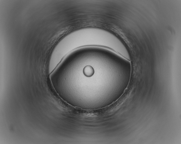 X0000115280161200911131836