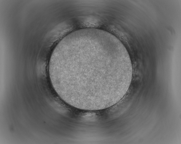 X0000115280162200911131836