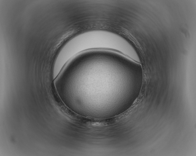 X0000115280163200911131836