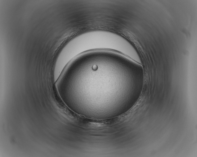 X0000115280167200911131836