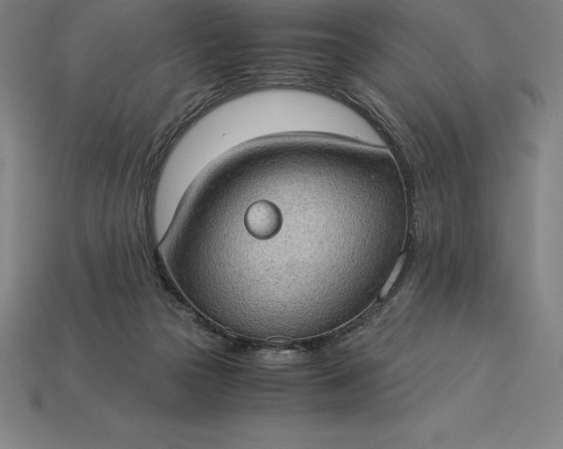 X0000115280169200911131836