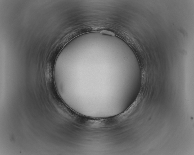 X0000115280170200911131836