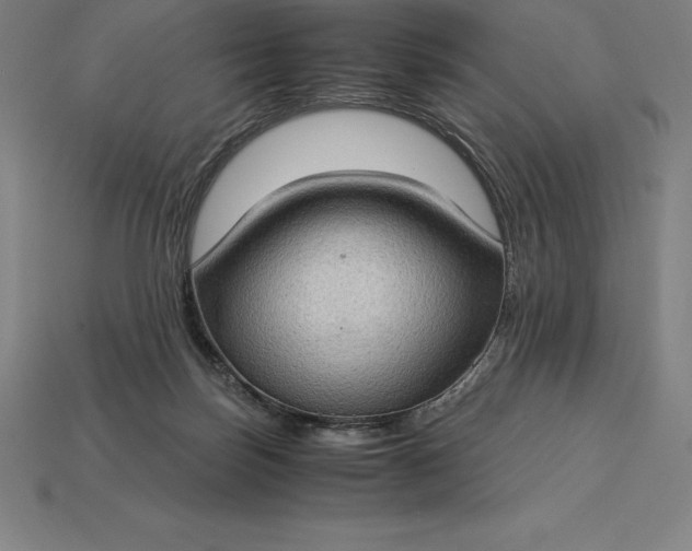 X0000115280171200911131836